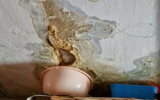 Жительница Воронежа почти год добивается ремонта протекающего потолка