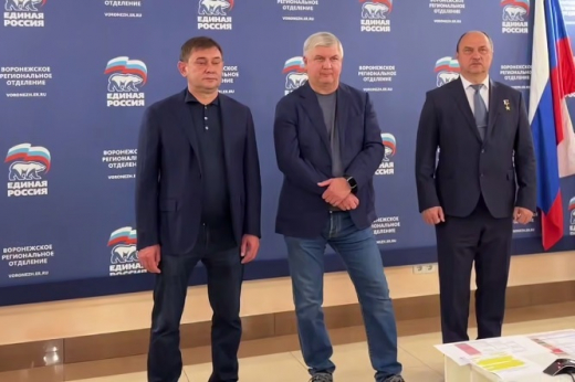 Выборы в Воронежской области прошли без серьёзных нарушений