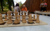 В Воронеже проходят шахматные турниры под открытым небом