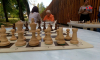 В Воронеже проходят шахматные турниры под открытым небом