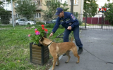 Рано утром 1 сентября в школах Воронежа искали взрывчатые вещества