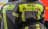 Замглавы ГУ МЧС Медведев: Число лесных пожаров в Подмосковье сократилось со 130 до 30