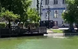 Купание мужчин в пруду в центре Москвы попало на видео