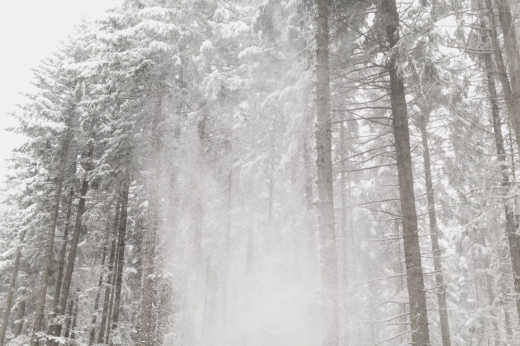 Воронежцев предупредили о метели и сильном ветре ночью 4 января