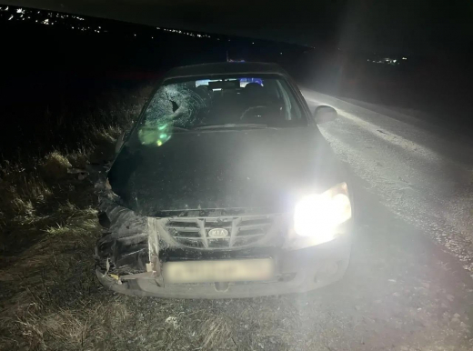 Под Воронежем легковушка насмерть сбила пешехода, который шёл по дороге