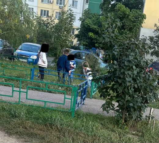 «Таскают как тряпку, кидают на землю»: очевидцев шокировало обращение детей с щенком в Воронеже
