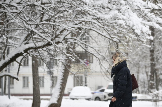 Синоптик Позднякова: В конце декабря в Москве пройдет сильный снегопад