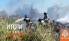 Итоги недели с 24 по 30 августа